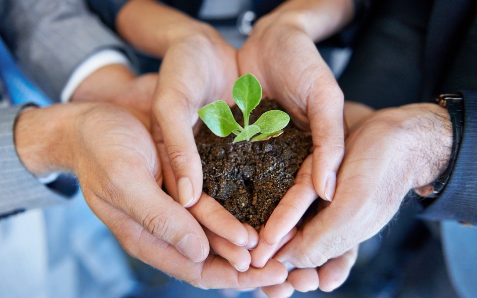 imagem com maos segurando planta para a responsabilidade social adoro brindes